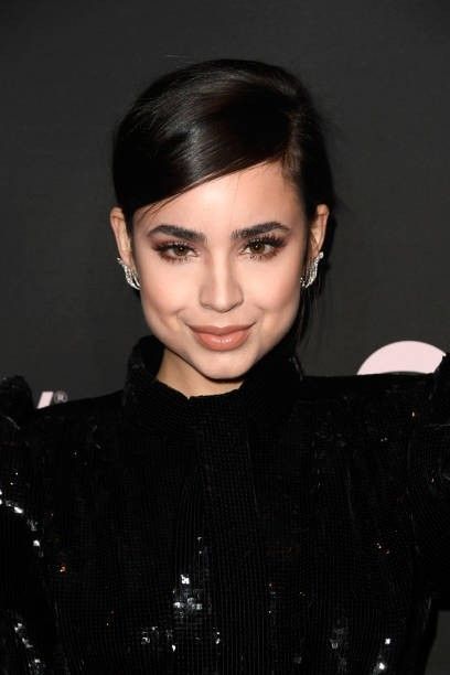 Sofia Carson, New Artists, Her Hair, Sofia, Celebrities, Hair