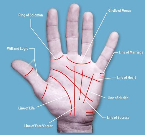 Basic Palm Reading, Palm Reading Charts, What Is Astrology, Palmistry Reading, Palm Lines, Palm Reader, Hand Palm, Why Read, Palm Reading