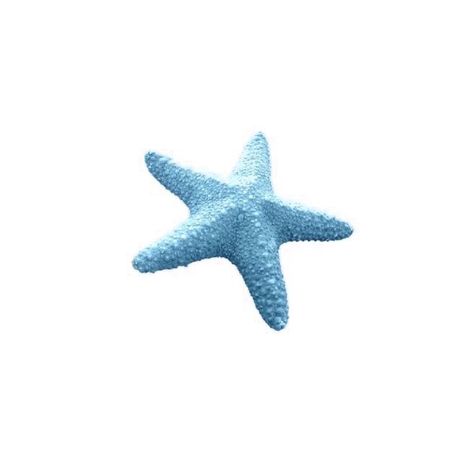 Fish Icon, Blue Starfish, Blue Jellyfish, Beach Icon, Screen Icon, Blue Aesthetic Pastel, Summer Icon, Themes App, Phone Inspiration