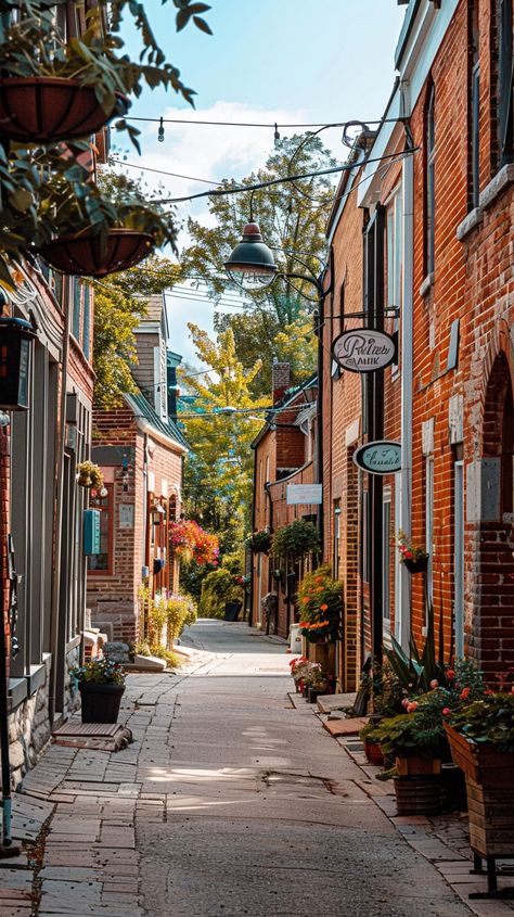 "Quaint Urban Alley: Narrow passageway between old #brickbuildings lined with #pottedplants under a clear #bluesky. #alleyway #urbanexploration #vintagevibes #charm #aiart #aiphoto #stockcake ⬇️ Download and 📝 Prompt 👉 https://stockcake.com/i/quaint-urban-alley_482474_455611" Cool Alleyways, Beautiful Alleyways, Old City Photography, Town Reference, City Alley, Perspective Painting, Ap Art Concentration, Sketching References, Film Reference