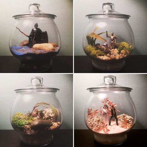 Terrarium Ideas For Wedding, Star Wars Crafts For Adults, Star Wars Party Ideas For Adults, Starwars Terrarium, Nerdy Centerpieces, Star Wars Terrarium, Birthday Party Themes For Adults, Party Themes For Adults, Birthday Themes For Adults