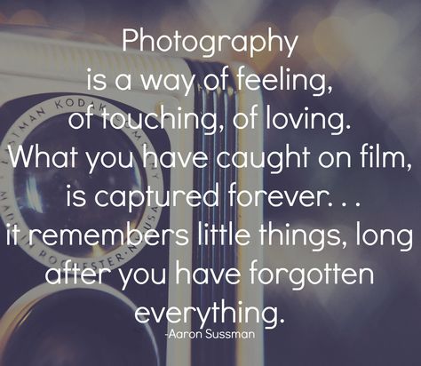 Photography is a way of feeling, of touching, of loving. What you have caught on film is captured forever. . . it remembers little things, long after you have forgotten everything. -Aaron Sussman #quotes #photography Capturing Moments Quotes Photography, Quotes About Photos, Photography Quotes Passion, Photography Inspiration Quotes, Quotes Passion, Passion Pictures, Photographer Quotes, Camera Quotes, Humor Life