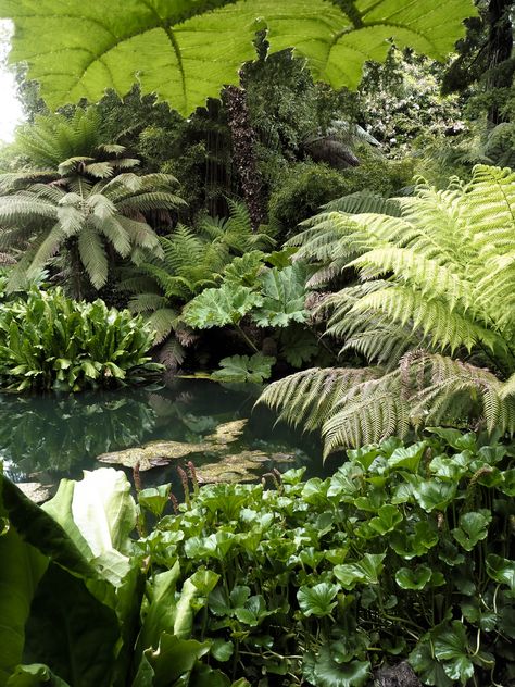 The Lost Gardens of Heligan — Design Hunter Lost Gardens Of Heligan, Gardens Of Babylon, Lost Garden, The Giant Peach, Tree Fern, Cornwall, Home And Garden, Lost, Design