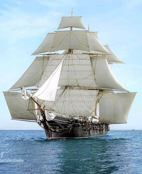 USS Monongahela under full sail.. Out Of Service, Navi A Vela, Old Sailing Ships, Full Sail, Clipper Ship, Vintage Boats, Sailing Vessel, Boat Design, Navy Ships