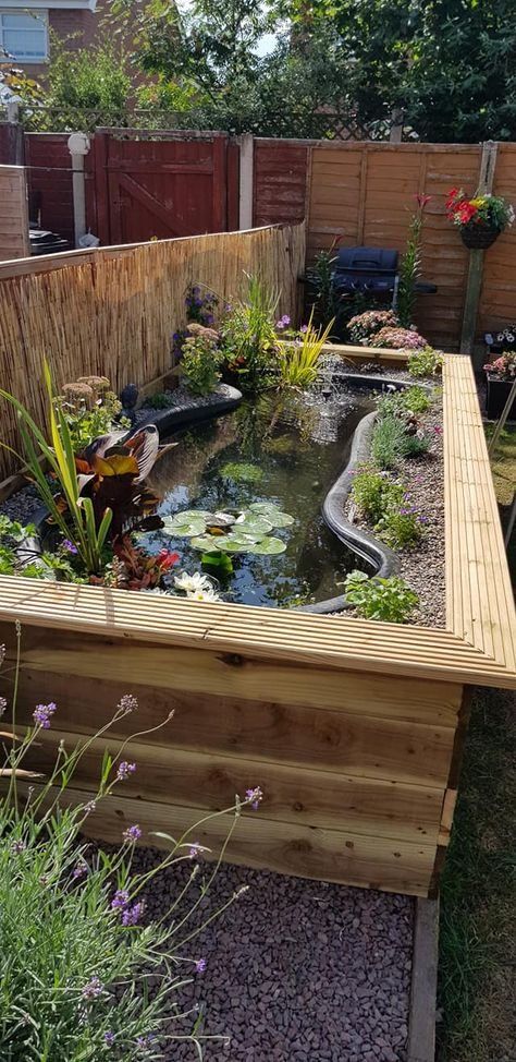 Garden Bed Water Feature, Garden Design With Pond, Raised Water Features In The Garden, Garden Ground Ideas, Above Ground Turtle Pond, Backyard Fish Farm, Raised Garden Flower Beds Ideas, Garden Design Pond, Flower Bed Pond Ideas