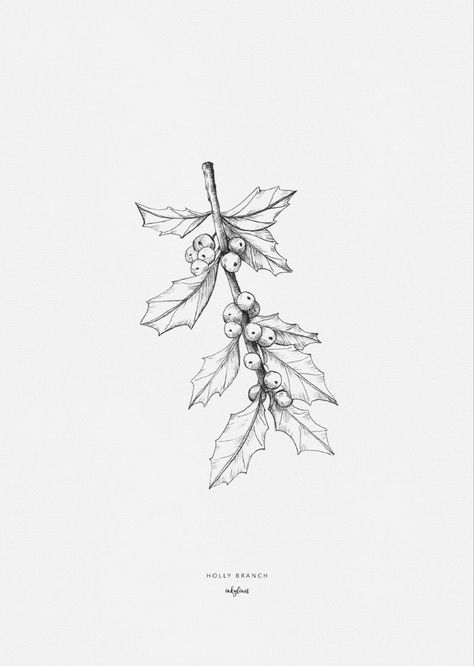 Holly Branch, Love Patience, Tattoo Graphic, Leaf Drawing, Plant Drawing, Tree Tattoo, Christmas Drawing, Black And White Illustration, Christmas Illustration