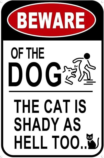 Vintage Metal Tin Sign Beware Of Dog Sign Beware Of The Dog The Cat Is Shady Too Tin Sign Funny Dog Warning Metal Signs for Home Kitchen Bar Pub 12 X 8 Inches : Amazon.co.uk: Home & Kitchen Beware Of Dog Sign, Beware Of The Dog, Home Kitchen Bar, Beware Of Dog, Dog Signs, Funny Signs, Kitchen Bar, Metal Tin, Tin Signs