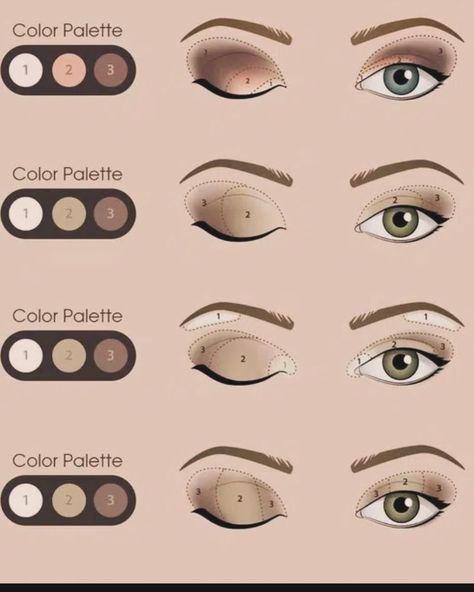 How to Apply Eyeshadow… Correct eye shadow application isn’t difficult, it’s just practised technique. So many of us still get it wrong. This handy graphic helps illustrate different ways of how to apply #eyemakeup #eyeshadow #eyeshadowtutorial #eyeshadowlooks #eyeshadowtechniques Eye Shadow Diagram, Eye Shadow Map, Eye Shadow Shapes, Eye Shadow Ideas For Blue Eyes, Eye Shadow Application Chart, How To Eye Shadow, Ways To Apply Eyeshadow, Eyeshadow Mapping, Eyeshadow Layout