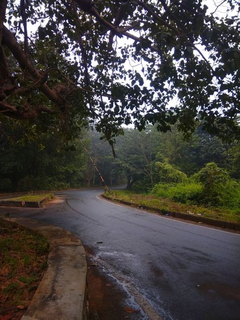 Jamshedpur Snap, Jamshedpur City, Bad Pic, Nature View, Avengers Infinity, Into The Woods, Background Design, Beautiful Nature, Avengers