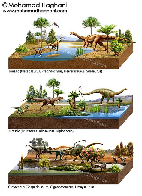 Mesozoic ( Triassic, Jurassic, Cretaceous ) on Behance Museum Model, Fossil Museum, Geologic Time Scale, Mesozoic Era, Fish Gallery, Science Models, Prehistoric Wildlife, Dinosaur Pictures, Cretaceous Period