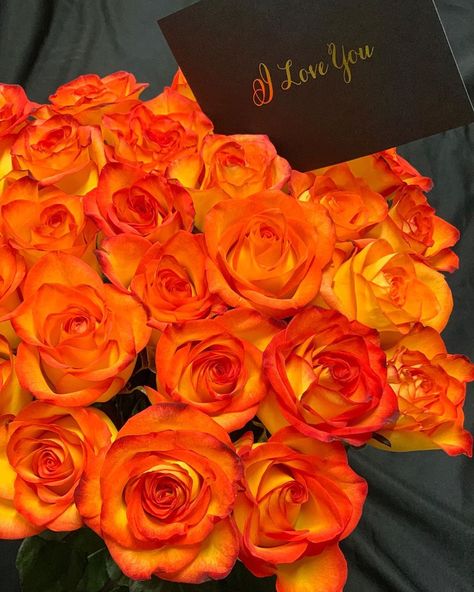 Bloom Luxury® on Instagram: “🧡 I Love You. #BloomLuxury #orangeroses #magical #vibrant #beautiful #expressyourself #iloveyou” Orange Flowers Bouquet, Orange Aesthetics, Orange Rose Bouquet, Luxury Roses, Friend Groups, Orange Party, Fleur Orange, Flower Bouquet Diy, Fav Color