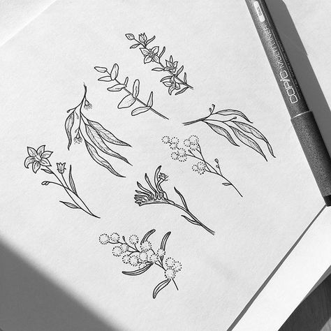 ☘️🌿Natives flash sheet🌿🌱 All Sold✨🍀 #wattle #eucalyptus #royalbluebell #flowertattoo #flowerpower #tattooinspiration #tattooideas #smalltattoo #dotworktattoo #finelinetattoo #australianflowers #flash #flashtattoo #flashaddicted #blackwork #blackink #australiantattooing #customtattoo #instaart #canberra Heritage Tattoo, Hanna Tattoo, Mum Tattoo, Australian Tattoo, Flower Tat, Cute Finger Tattoos, Cherub Tattoo, Native Tattoos, Wildflower Tattoo