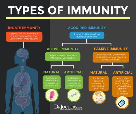 Healthy Candy, Basic Anatomy And Physiology, Adrenal Health, Collagen Benefits, T Cell, Immunity Booster, Nursing Notes, Chronic Inflammation, Immune Response