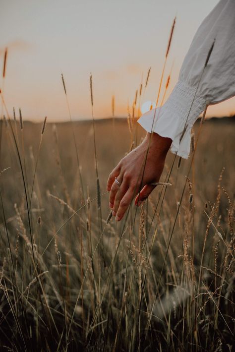 Photoshoot Golden Hour, Golden Field, Sunset Photoshoot, Swedish Summer, Golden Hour, In The Middle, The Middle, Butterflies