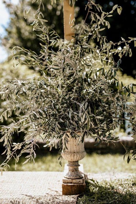 Villa Lena, Tree Wedding Ceremony, Natural Wedding Flowers, Olive Branch Wedding, Loose Bouquet, Tuscan Inspired Wedding, Olive Wedding, Athens Wedding, Tuscan Countryside