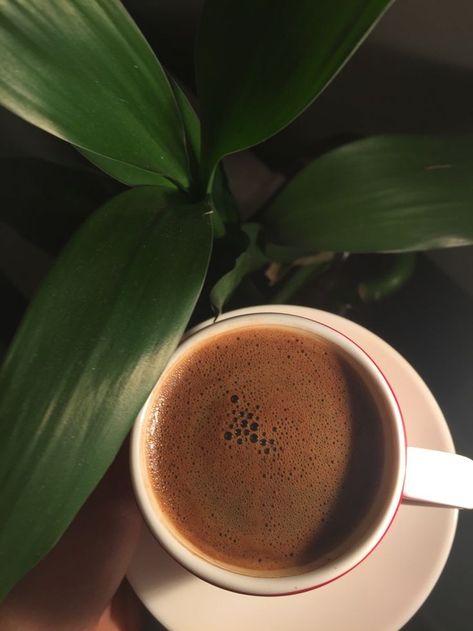 Backgrand Instagram, Red Eye Coffee, Coffee Grounds As Fertilizer, Ways To Make Coffee, نباتات منزلية, Coffee Instagram, Coffee Pictures, Coffee Photography, Aesthetic Coffee