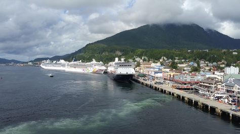 Island Princess, Norwegian Pearl, Holland America Zaandam and Holland America Oosterdam all in port in Ketchikan AK. As we left, a Celebrity ship was coming in.  Busy day! Norwegian Pearl, Island Princess, Holland America, Cruise Ships, Busy Day, A Celebrity, Cruise Ship, Holland, This Is Us