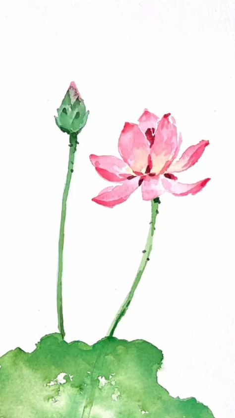 Let's paint a watercolor lotus flower #watercolorpainting #artwork #reels #lotus | LINDAartdiary | Christian Meditation Music · Moonlight Sonata Simple Lotus Painting, Lotis Flower, Lotus Flower Watercolor, Inspiring Drawings, Water Lilies Painting, Loose Watercolor Flowers, Watercolor Lotus, Watercolour Cards, Christian Meditation