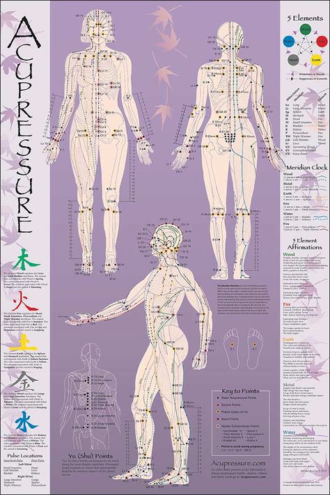 point chart; body pain chart, acupressure therapy chart, women's acupressure chart, point recipes Acupressure Points Chart, Acupressure Chart, Meridian Acupuncture, Acupuncture Points Chart, Acupuncture Point, Acupressure Therapy, Acupressure Massage, Reflexology Massage, Cupping Therapy