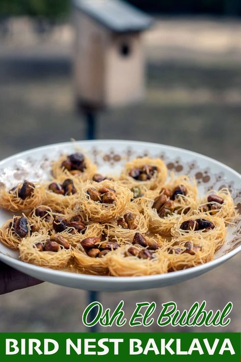 a plate of bird nest baklava Bird Nest Recipe, Birds Nests Recipe, Kataifi Pastry, Phyllo Dough Recipes, Middle Eastern Desserts, Baklava Recipe, Bird Nests, Foreign Food, Holiday Dessert Recipes