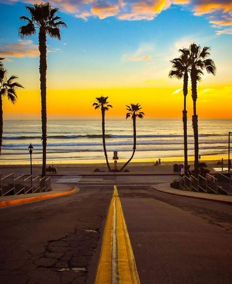 Oceanside California, Palm Tree Art, Surfboard Design, Mural Ideas, Engagement Inspo, Sea Shore, California Beach, Tree Art, Beautiful Views