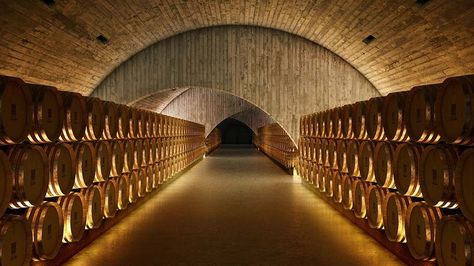 Wine Cellar Lighting, Wineries Architecture, Wine Vault, English Cottage Interiors, Portugal Wine, Winery Tasting Room, Wine Cellar Design, Italy Wine, Wine Preserver