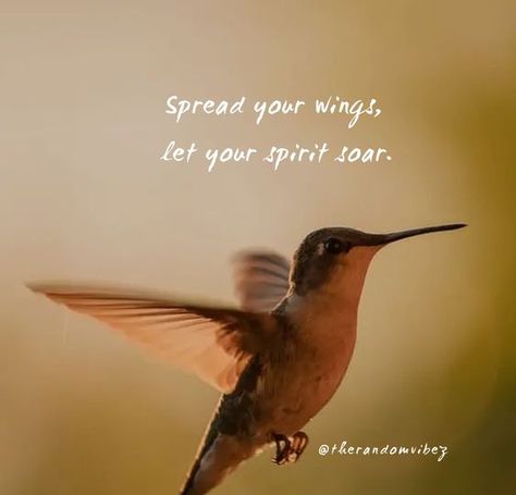 60 Hummingbird Quotes And Sayings To Inspire You Hummingbird Quotes, Hummingbird Meaning, Hummingbird Symbolism, Tooth Fairy Letter, Brave Wings, Bird Quotes, Meant To Be Quotes, Believe In Miracles, Most Beautiful Animals