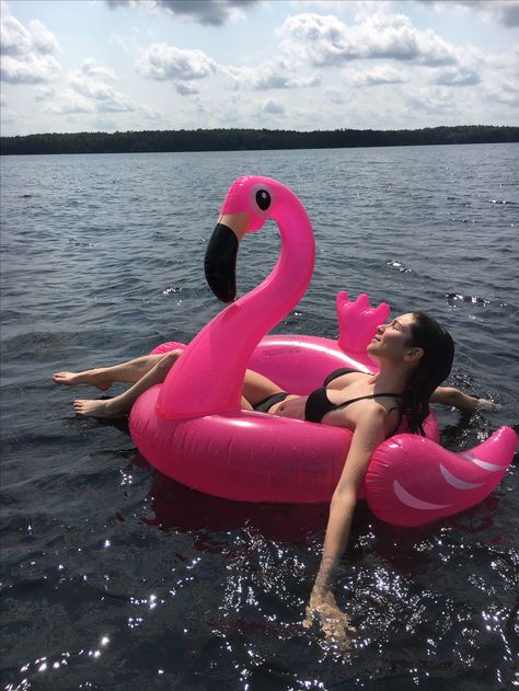 Flamingo Floatie Aesthetic, Woman In Pool Floatie, Flamingo Floaties, Beach Floats, Flamingo Pool Float, Puppy Room, Flamingo Float, Flamingo Pool, Pool Poses