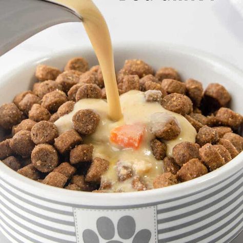 Dog Gravy Recipe, Recipe For Picky Eaters, Gravy Sauce Recipe, Dog Gravy, Healthy Gravy, Wholesome Dog, Healthy Dog Food, Homemade Gravy, Cuban Food