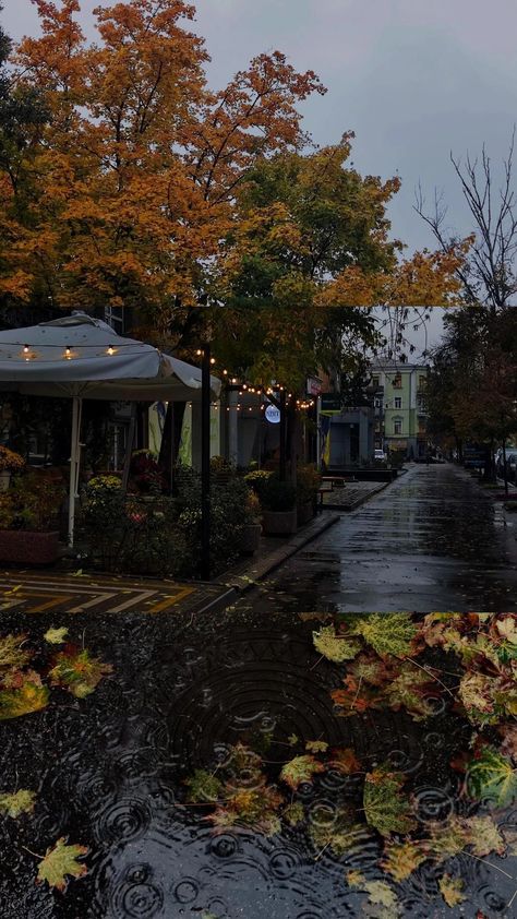 Kharkiv Aesthetic, November Aesthetic Cozy, Background Landscape Aesthetic, Rainy Wallpaper Aesthetic, Stolen Pics, Rainy Autumn Day, Autumn Backgrounds, Winter Backgrounds, October Aesthetic