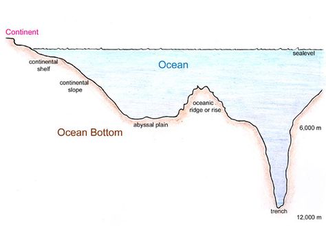 ocean floor topography | Atlantic Ocean Floor Topography Ocean Topography, General Science, Ocean Floor, 9th Grade, Oceans Of The World, No One Loves Me, Earth Science, Atlantic Ocean, 6th Grade