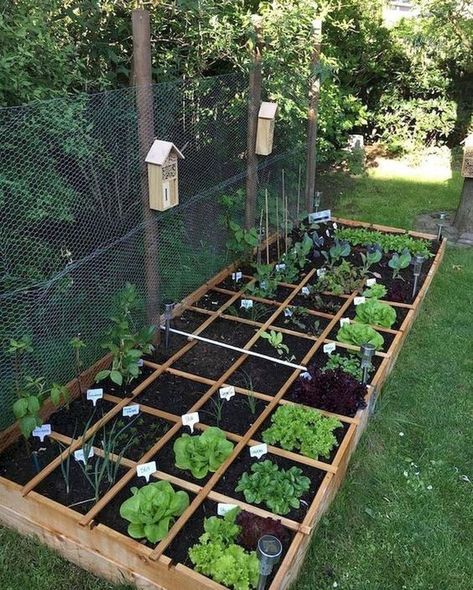 Instala un mini huerto hecho con pallets y tendrás hierbas frescas sin salir de casa Raised Garden Bed Plans, Raised Vegetable Gardens, Garden Boxes Raised, Herb Garden Design, Vegetable Garden Planning, Vegetable Garden For Beginners, Diy Raised Garden, Backyard Vegetable Gardens, Raised Garden Beds Diy