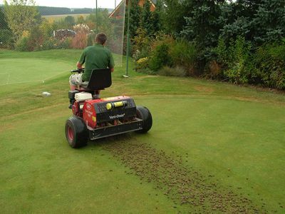 Fall Lawn Maintenance, Lawn Care Diy, Lawn Aeration, Dethatching Lawn, Grass Seed Types, Gardening Basics, Spring Lawn Care, Fall Lawn, Aerate Lawn