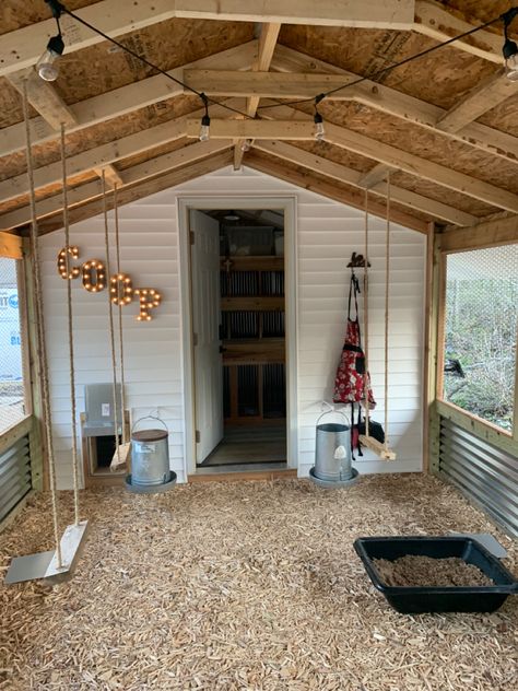 Shed Hen House, Chicken Coop Stalls, Split Chicken Coop Ideas, Diy Indoor Chicken Coop, Chicken Coop Set Up Inside, Chicken Coop Shade Ideas, Inside Chicken Coop Decorating Ideas, Pretty Chicken Coop Ideas, Chicken Coop Walk In