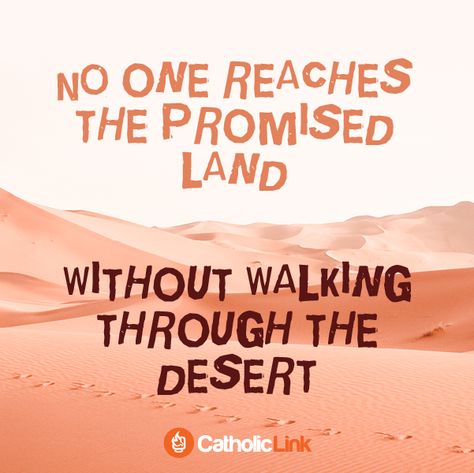 No one reaches the promised land without walking through the desert. - Catholic Link Land Quotes, Peaceful Words, Unanswered Prayers, Now Quotes, Answered Prayers, Words Of Hope, Troubled Times, Promised Land, Catholic Quotes