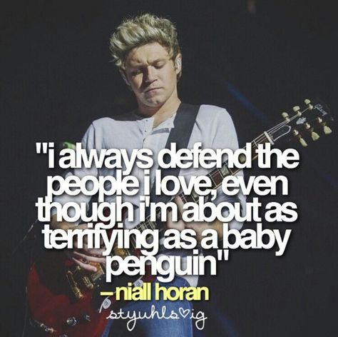 Baby penguin ❤❤❤❤ Niall Horan Quotes, One Direction Collage, 1d Quotes, Niall Horan Baby, Harry Styles Quotes, 1d Funny, Direction Quotes, One Direction Quotes, One Direction Photos