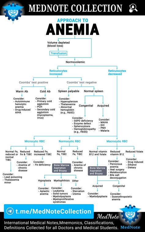 Pathology Notes Medical Students, Medical Laboratory Science Student, Student Doctor, Nurse Study, Medicine Studies, Medical School Life, Medical Mnemonics, Nurse Study Notes, Basic Anatomy And Physiology