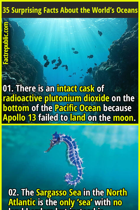 01. There is an intact cask of radioactive plutonium dioxide on the bottom of the Pacific Ocean because Apollo 13 failed to land on the moon. #nature #science #knowledge #education #ocean #water Ocean Facts, Facts About The World, Science Knowledge, Moon Nature, Fact Republic, Apollo 13, Ocean Science, Nature Science, Trivia Facts