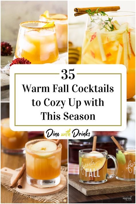 Collage of 4 warm fall cocktails. Fall Alchol Drinks, Warm Fall Cocktails, Hot Alcoholic Drinks, Hot Fall Drinks, Fall Drinks Alcohol, Fall Punch Recipes, Fall Cocktail Recipes, Warm Drinks Recipes, Girls Night Drinks