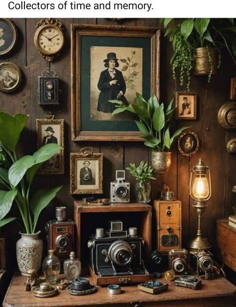 Decorating Display Cabinet, Pirate Core Decor, Rustic Boho Design, Vintage Plant Decor, Old Fashion Decor, Vintage Stuff Antiques, Apothecary Bedroom Ideas, Apocathary Aesthetic, Dark Academia Store