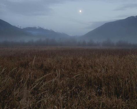 Find Momo in a moonlit field Open Field Aesthetic, Moonlit Field, Swamp Scene, Countryside Paintings, Dark Landscape, Moody Photography, After Life, Photography Projects, Nature Aesthetic