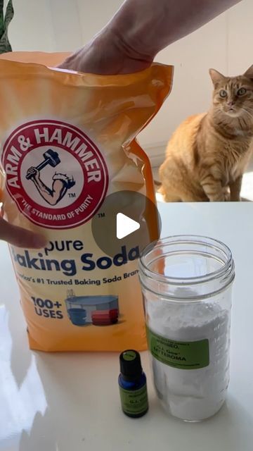 Feminist Kitty on Instagram: "DIY litter box deodorizer recipe ⬇️  Baking soda Jar with a lid Cat safe essential oil blend (I used the brand AnimalEO created by a veterinarian)   Add a few drops of EOs to the baking soda mix and add in your litter robot waste drawer, litter genie, or trash bag to help absorb odors. Do not add directly in your litter box, cats don’t like scented products and it’s unnecessary.#litterbox #litterboxtips #litterrobot #litterboxhack #cattips" Diy Litter Box Deodorizer, Cat Litter Deodorizer Diy, Litter Box Smell Hacks, Cat Litter Smell, Cat Liter, Litter Genie, Litter Box Smell, Diy Litter Box, Liter Box