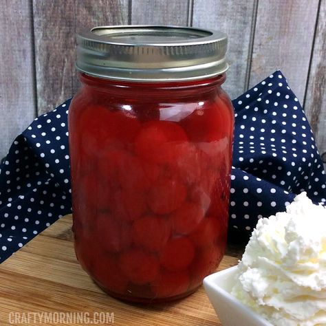 Ingredients  2 jars of Maraschino cherries, 15 oz each 1/4 C sugar 1 bottle of cherry juice, 34 oz 3 C 141 abv everclear 2 TBSP whipped cream vodka Directions  In a large sauce pan on low heat, combine cherries, sugar and cherry juice Cook until sugar is dissolved, stirring frequently Once sugar is dissolved, … Cherry Moonshine Recipe, Cherry Pie Moonshine Recipe, Moonshine Flavors, Brandy Cherries, Creamsicle Moonshine, Strawberry Moonshine Recipe, Moonshine Recipes Homemade, Cherry Moonshine, Strawberry Moonshine