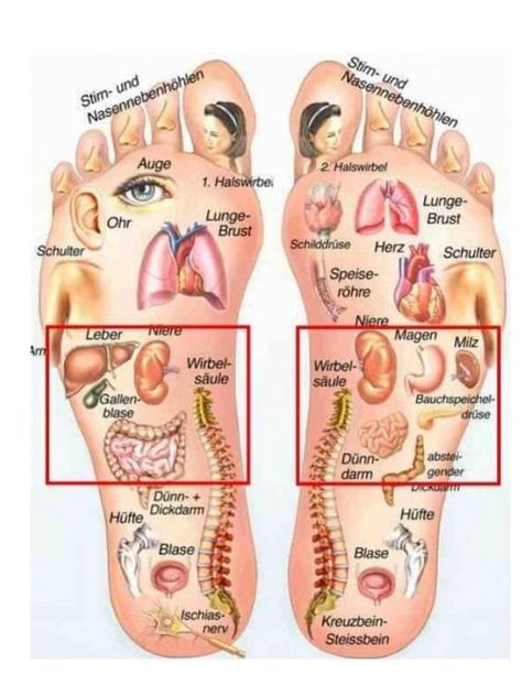 FEET REFLEXOLOGY CHART - Etsy Sweden Feet Reflexology, Reflexology Foot Chart, Foot Reflexology Massage, Hand Reflexology, Reflexology Chart, Reflexology Massage, Foot Reflexology, Skincare Organization, Skin Care Order