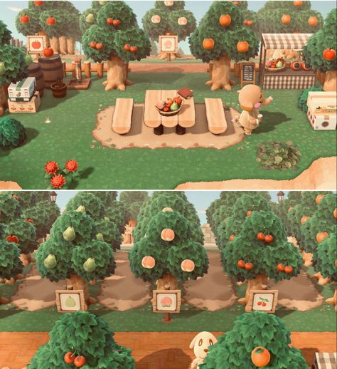 Fruit Farm Animal Crossing, Orchard Path Animal Crossing, Animal Crossing Tree Farm Ideas, Farm In Animal Crossing, Animal Crossing Dirt Code, Acnh Orchard Path Code, Farm Animal Crossing Ideas, Farms Animal Crossing, Cottagecore Animal Crossing Ideas