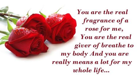 Happy Rose Day Wishes & Greetings Images Valentines Day Gif Images, Rose Day Wishes, Happy Valentines Day Gif, Happy Rose Day, Mens Day, Rose Day, Greetings Images, Quotes With Images, Wishes Messages