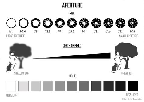 Aperture & Depth of Field Aperture Depth Of Field, Basics Of Photography, Depth Of Field Photography, Introduction To Photography, Aperture Photography, Aperture And Shutter Speed, Film Technique, Photography Cheat Sheets, Photography Journey