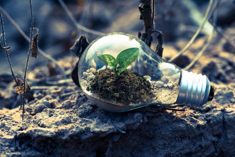 For Philanthropy or Profit?: ESG Investing Soil Recipe, Success Quotes In Hindi, Waste To Energy, Recipes List, Succulent Soil, Great Pic, Energy Technology, Quotes In Hindi, Sustainable Gifts