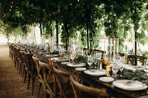 Wedding Winery Vineyard, Vineyard Wedding Theme, Winery Wedding Decorations, Vineyard Decor, Vineyard Wedding Decor, Vineyard Wedding Venues, Bridal Shower Wine Theme, Wine Country Wedding Venues, Winery Wedding Venues