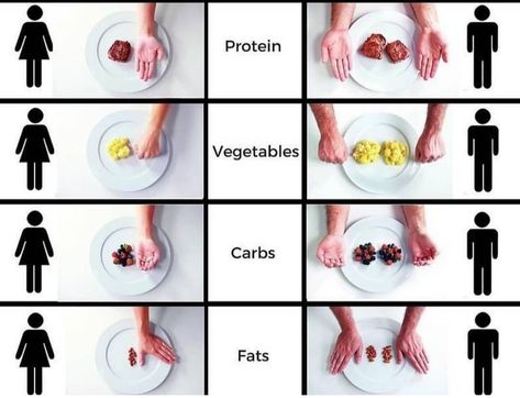 How To Portion Food, Perfect Portions Meal Plan, How To Control Portion Size, Healthy Portion Sizes, Portion Controlled Diet, Carbs In Vegetables, Weight Smoothies, Portion Sizes, Makanan Diet